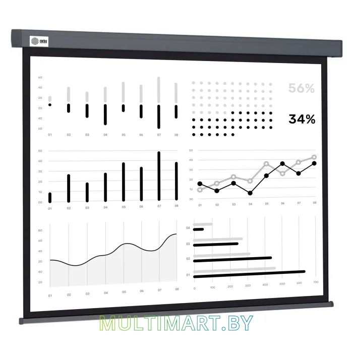 Проекционный экран CACTUS Wallscreen CS-PSW-180X180-SG